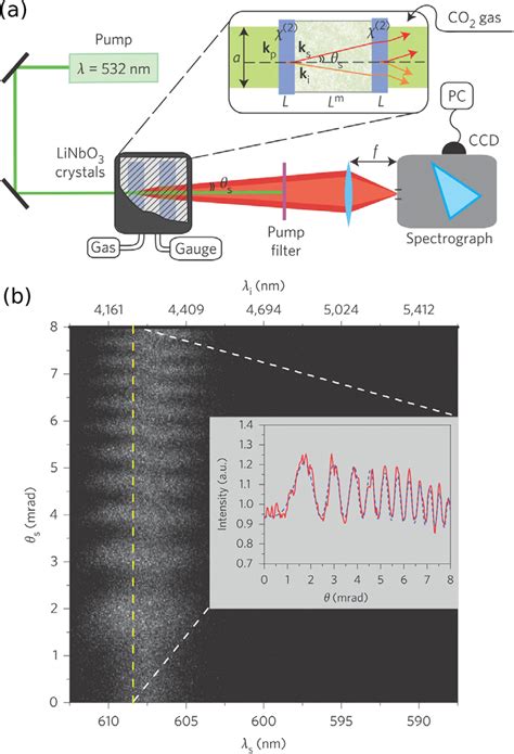 a) Quantum spectroscopy experimental setup presented by Kalashnikov et ...