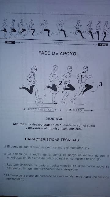 LAS PRUEBAS DE VELOCIDAD EN EL ATLETISMO V FASES DE LAS PRUEBAS DE