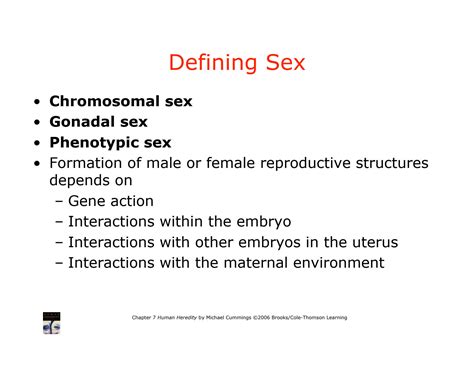 SOLUTION Sex Determination In Humans Studypool