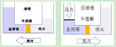 科普百篇系列（255） 仿生，如何将海水变为淡水 知乎