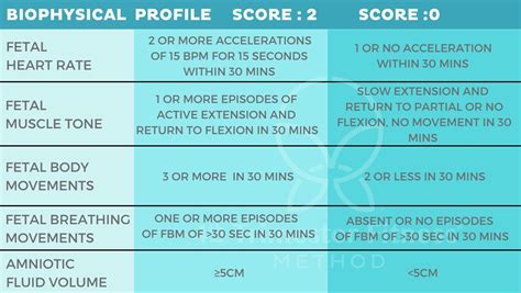 What Is A Biophysical Profile Test In Pregnancy Th Trimester