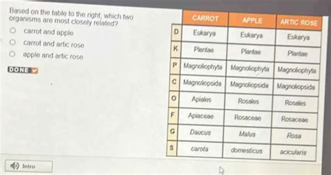 Based On The Table To The Right Which Two Organisms Are Most Closely Related Carrot And Apple