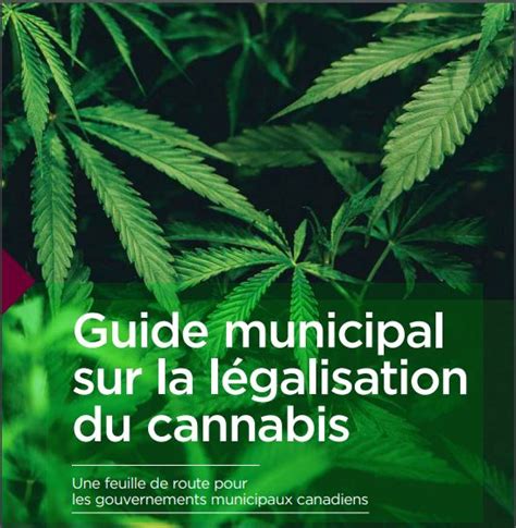 Guide Municipal Sur La Légalisation Du Cannabis Fédération Canadienne Des Municipalités