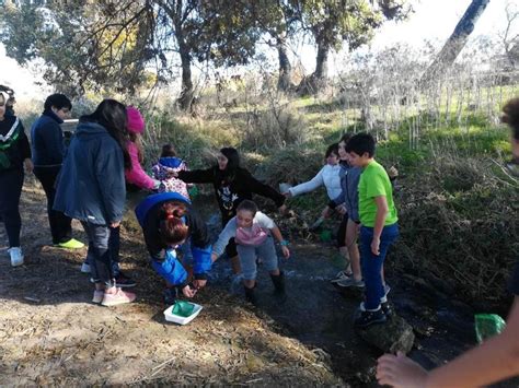 Finalitzat El Projecte Rius Inspeccions De Tardor Consell Comarcal