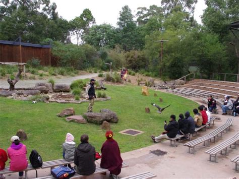 Healesville Sanctuary Small Ideas