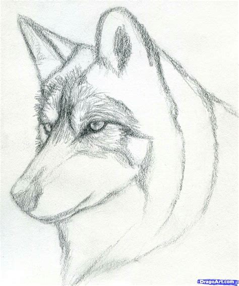 Lobo Desenho Olhos Desenho Ideias Para Caderno De Desenho Images