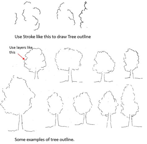 Drawing Outline of Trees and Landscapes with Trees - Pen and Ink ...