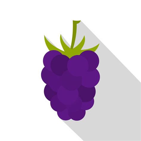 Premium Vector Fresh Blackberry Icon Flat Illustration Of Fresh