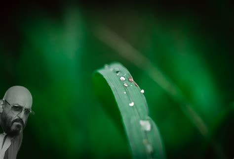 Последний день лета | Пикабу