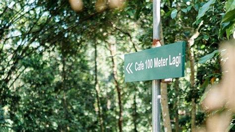 Salah Satu Surga Ngopi Jogja Mams Well Cafe Tawarkan Suasana Hutan