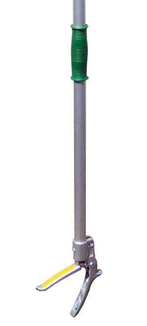 Zenport Fruit Picker Zl6146a 6 Foot Telescopic Fruit Picker Long Reach