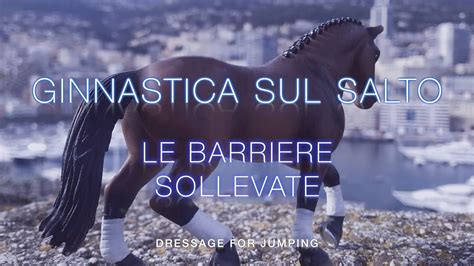 Dressageforjumping Le Barriere Sollevate Youtube