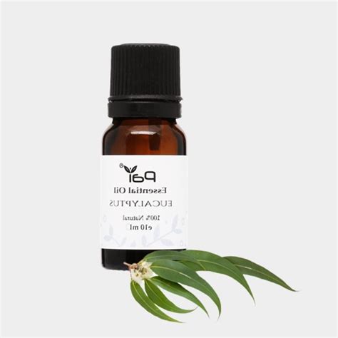 100 Natural Eucalyptus Essential Oil For Massage Skincare Aroma