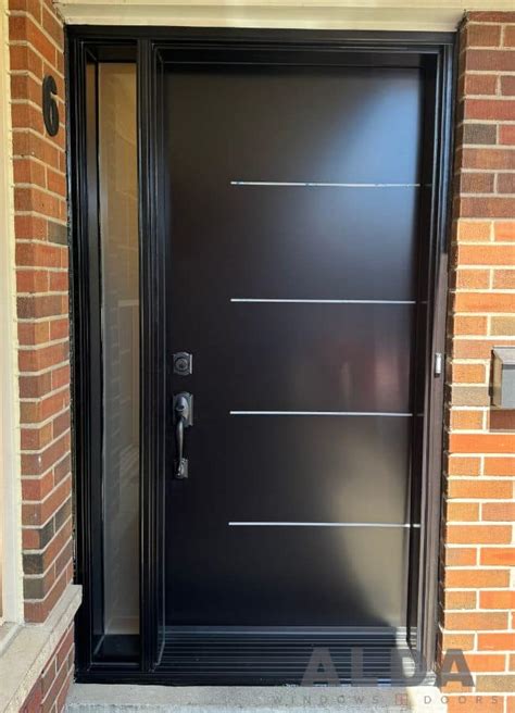 Contemporary Steel Entry Door With Aluminum Inserts Alda