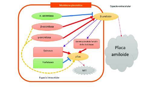 Fisiopatología general de la cascada amiloide en la EA Download