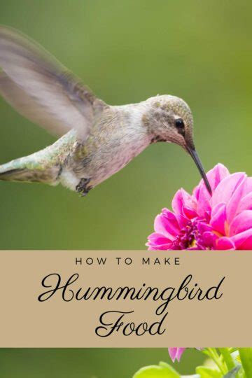 Best Homemade Hummingbird Nectar - A Step By Step Guide