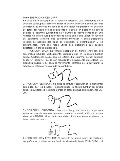 Ejercicios De Klapp Pdf Términos Anatómicos De Ubicación Escoliosis