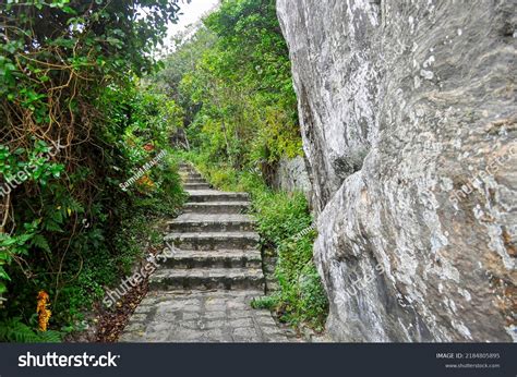 Steps On Trail On Honey Island Stock Photo 2184805895 Shutterstock