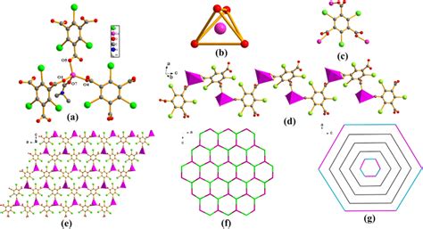 A Coordination Environment Of The Co Ii Ion In Complex Hydrogen