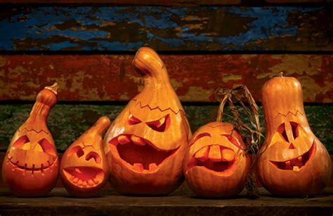 Art Of The Carve Make Your Best Jack O Lantern Yet With Pro Tips From Carving Expert Scott