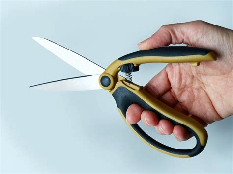 spring scissors urcstyle