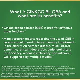 Nature S Bounty Ginkgo Biloba Extract 30 Mg 30 Capsules Brain Mental