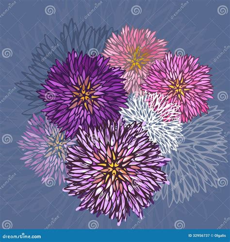 Aster Flower Doodle Vector Hand Drawn Line Sketch Floral Illustration