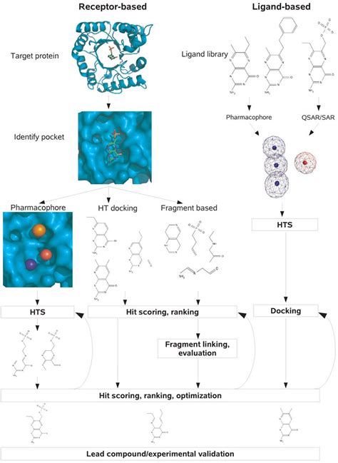 Structure Based Drug Design As Applied To The Discovery Of