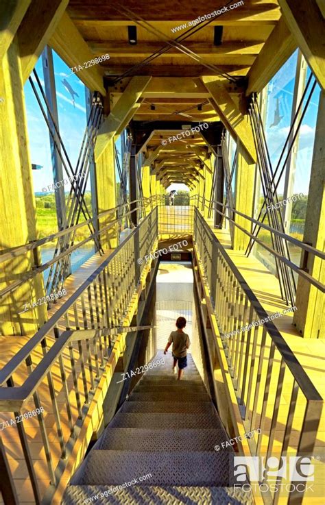 Cantilevered Observation Deck At The Ataria Interpretation Centre