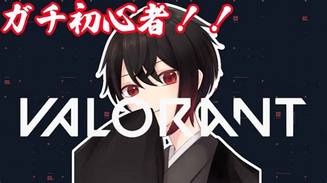 【valorant】レイナとスカイってキャラがおもろい【新人vtuberれみる】 Valorant動画まとめ