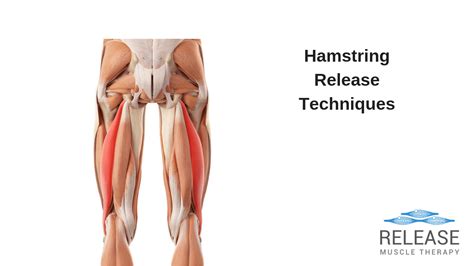 6 Fast And Easy Hamstring Release Techniques Massage