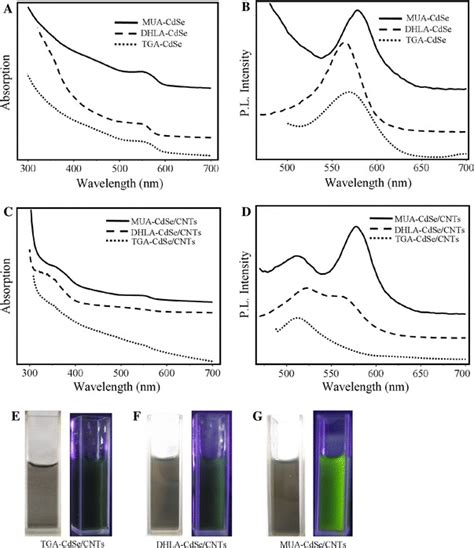 Uvvis Absorption And B Photoluminescence Spectra Of Aqueous Cdse Qds