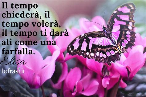 Frasi Sulle Farfalle Per RIFLETTERE