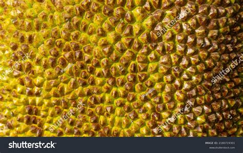 Jackfruit Skin Background Jackfruit Thorn Spots Stock Photo