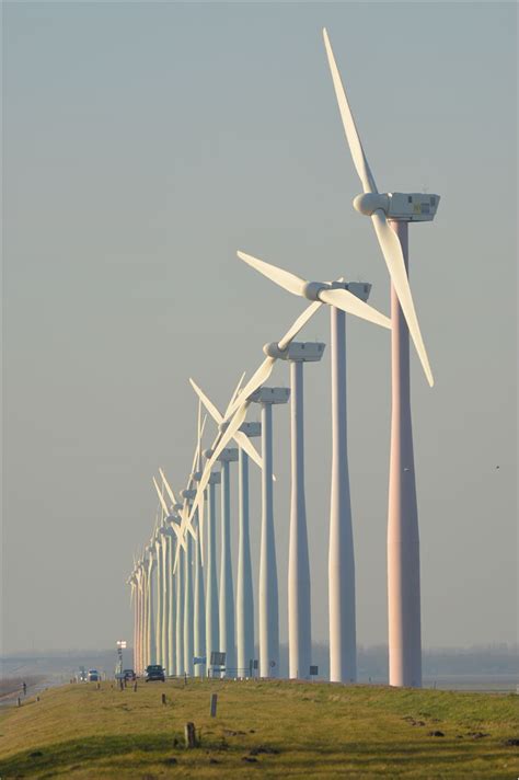 Picture Of Windmills In Netherlands