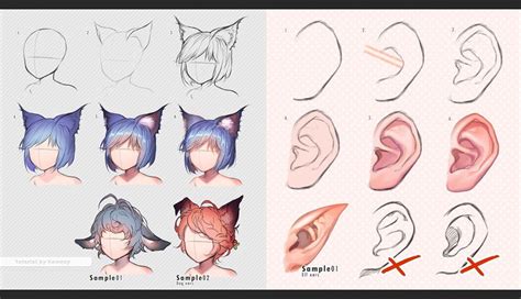 Human Vs Beast Ears By Kawacy On Deviantart Drawings Anime Drawings