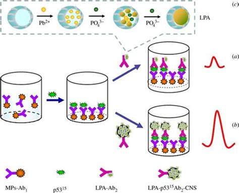 Bioinspired Nanoscale Materials For Biomedical And Energy Applications Journal Of The Royal