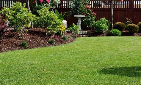 7 Steps To A Beautiful Lawn Linnemann Lawn Care And Landscaping Blog