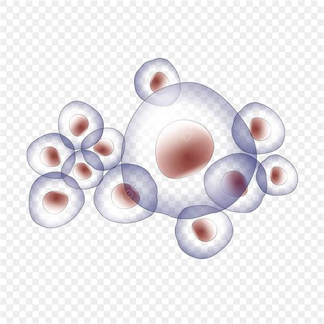 Stem Cells Vector Art PNG Stem Cell Medicine Medical Regeneration