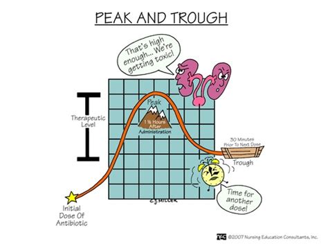 Peak & Trough Flashcards | Quizlet