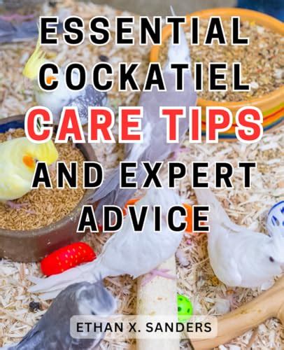 Essential Cockatiel Care Tips and Expert Advice: The Comprehensive ...