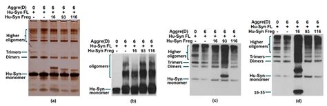 Ijms Free Full Text Identifying The Pathological Domain Of Alpha