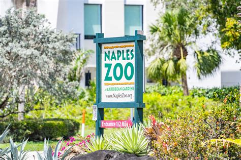 Naples Area Entertainment Naples Zoo Stock Photography – Naples Area Stock Photography