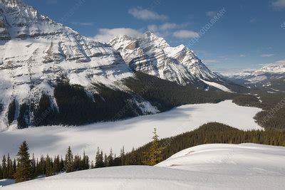 Peyto Lake in Mid-Winter - Stock Image - C025/1393 - Science Photo Library