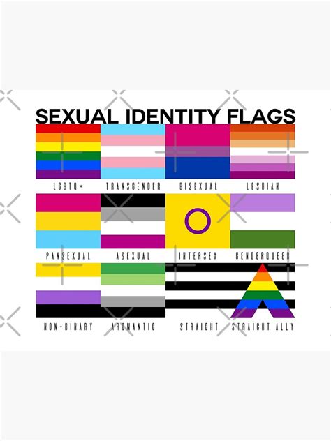 Lgbt Sexual Identity Pride Flags Collection Rainbow Lesbian Gay🍕