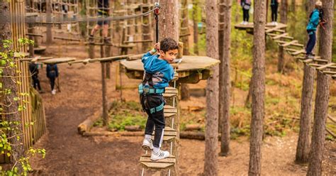 Go Ape Moors Valley Visit Hampshire