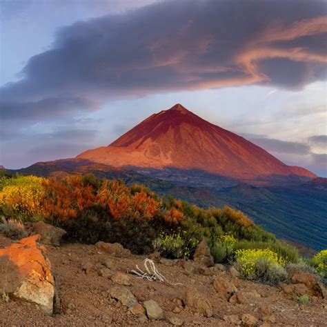 Reportajes fotos y vídeos de ciencia