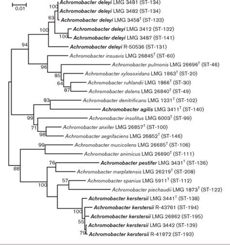 Table 1 From Taxonomic Dissection Of Achromobacter Denitrificans Coenye