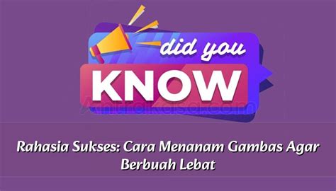 Rahasia Sukses Cara Menanam Gambas Agar Berbuah Lebat