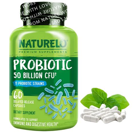 Top 6 Best Vegan Probiotic Supplements in 2025 - Straight.com